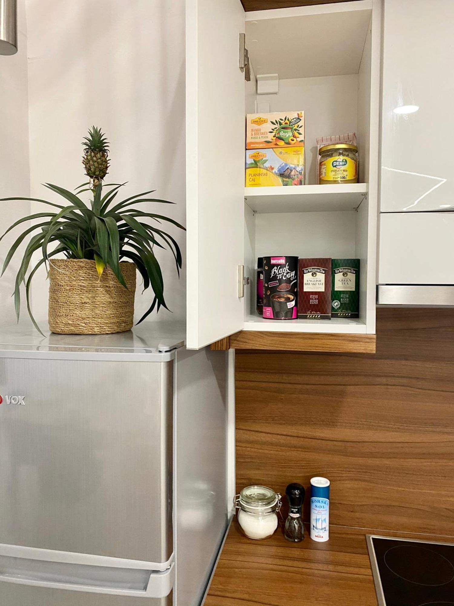 Jungle Loft - Central/Free Parking Любляна Екстериор снимка